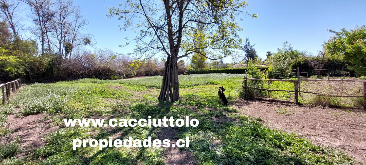 VENDO TERRENO EN SECTOR CARIÑO BOTADO, SAN ESTEBAN, LOS ANDES